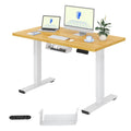 FLEXISPOT Escritorio Elevable Eléctrico 100x60cm, Mesa Escritorio Tablero Entero con Memoria, Sistema Anticolisión, para Oficina, Casa,Teletrabajo y Zona Compacta, Arce