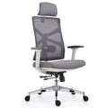 HOLLUDLE Silla de Oficina Ergonómica con Respaldo Adaptativo, Mesa y Silla de Escritorio de Alto Respaldo con Reposabrazos 4D, Profundidad de Asiento Ajustable, Soporte Lumbar y Reposacabezas 2D