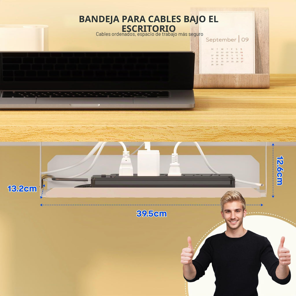 FLEXISPOT Escritorio Elevable Eléctrico 100x60cm, Mesa Escritorio Tablero Entero con Memoria, Sistema Anticolisión, para Oficina, Casa,Teletrabajo y Zona Compacta, Arce
