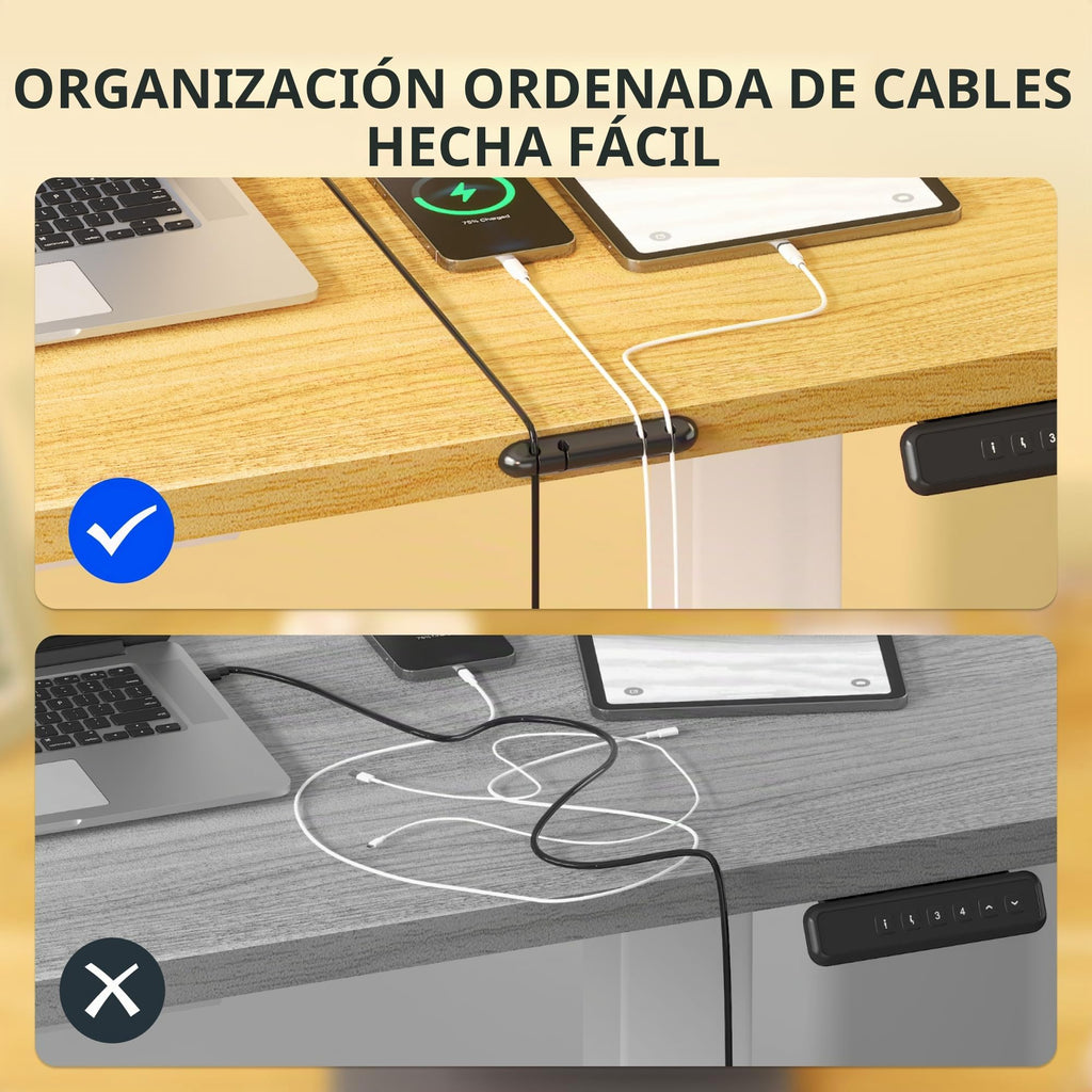 FLEXISPOT Escritorio Elevable Eléctrico 100x60cm, Mesa Escritorio Tablero Entero con Memoria, Sistema Anticolisión, para Oficina, Casa,Teletrabajo y Zona Compacta, Arce