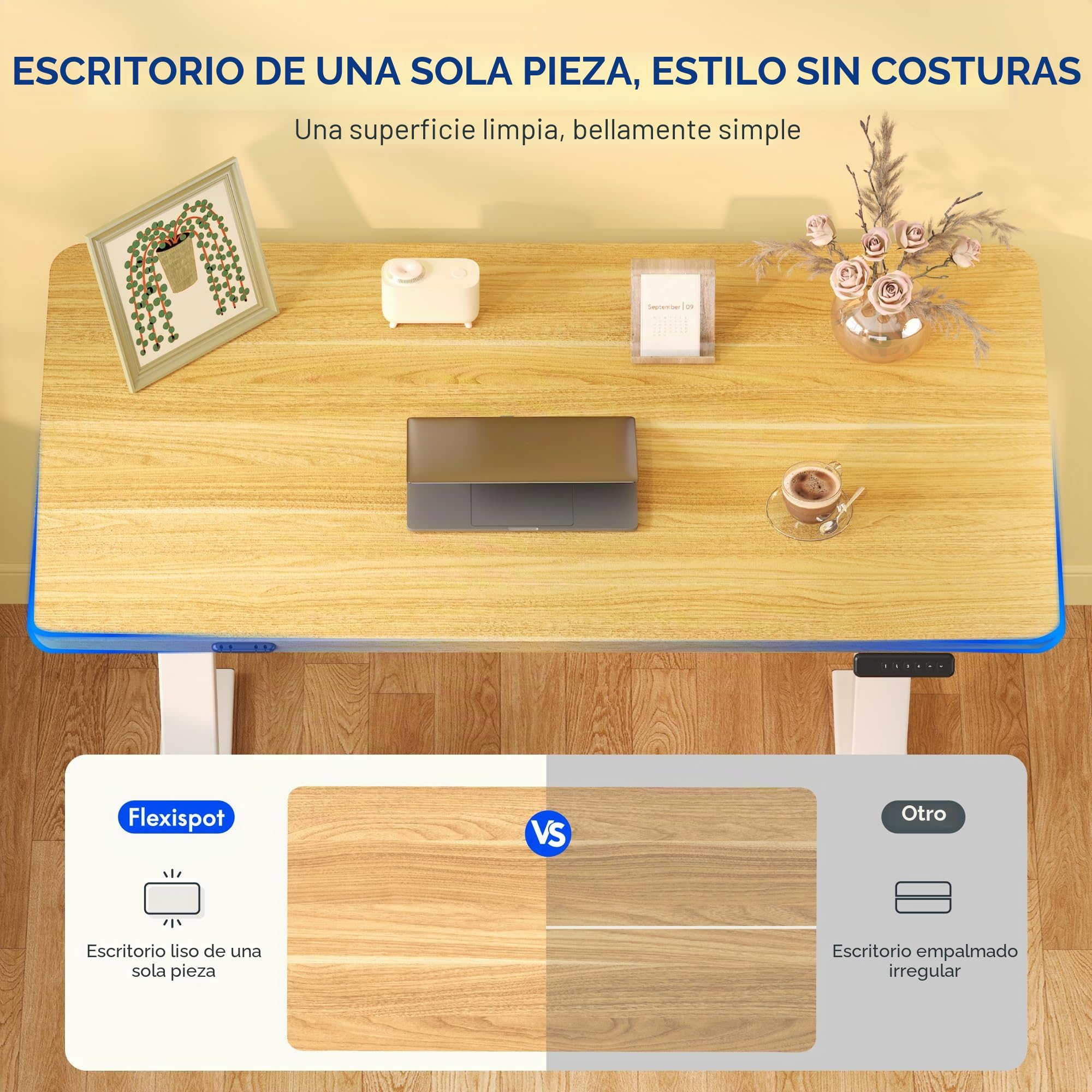 FLEXISPOT Escritorio Elevable Eléctrico 100x60cm, Mesa Escritorio Tablero Entero con Memoria, Sistema Anticolisión, para Oficina, Casa,Teletrabajo y Zona Compacta, Arce