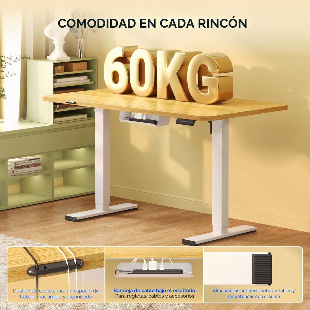 FLEXISPOT Escritorio Elevable Eléctrico 100x60cm, Mesa Escritorio Tablero Entero con Memoria, Sistema Anticolisión, para Oficina, Casa,Teletrabajo y Zona Compacta, Arce
