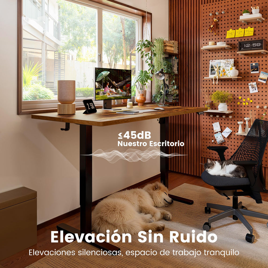 ErGear Escritorio Elevable Eléctrico, 160x80cm, Marrón
